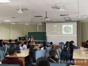 中國民協民間文藝小分隊赴臺文化交流總結