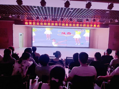 臨渭區(qū)文化和旅游局 觀十四運盛會開幕 展文旅融合新風采